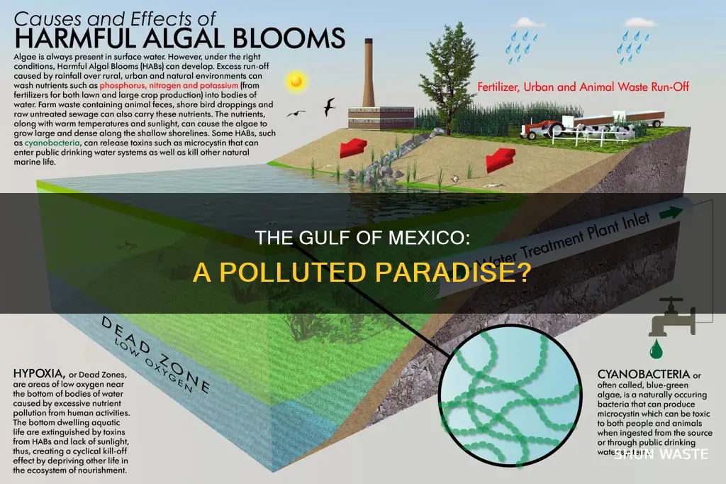 is the gulf of mexico polluted
