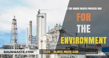 Haber-Bosch Process: Environmental Impact and Sustainable Alternatives Explored
