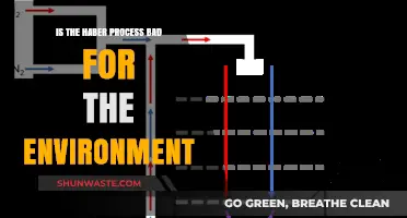 Environmental Impact of the Haber Process: Sustainable or Harmful?
