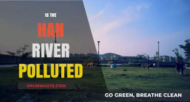 The Han River's Pollution Problem