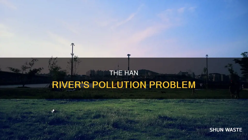 is the han river polluted