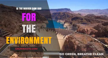 Hoover Dam's Environmental Impact: A Sustainable Solution or Ecological Disaster?