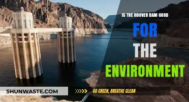 Hoover Dam's Environmental Impact: Sustainable or Ecological Dilemma?