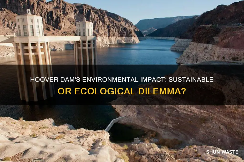 is the hoover dam good for the environment