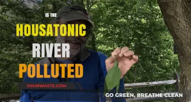 Housatonic River: A Polluted Paradise?
