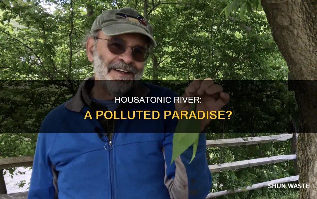 is the housatonic river polluted