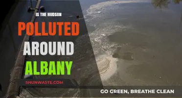 How Polluted Is the Hudson Near Albany?
