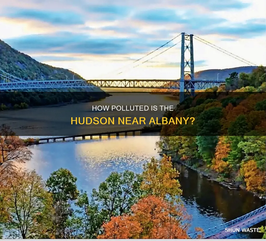 is the hudson polluted around albany