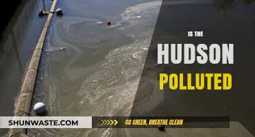 The Hudson's Pollution Problem: Is It Getting Better?