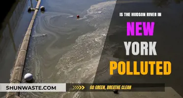 Hudson River Pollution: Is It Safe?