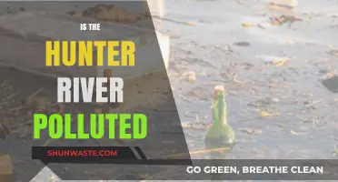 Hunter River Pollution: Is It Safe?