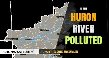 Huron River Pollution: Is It Safe?