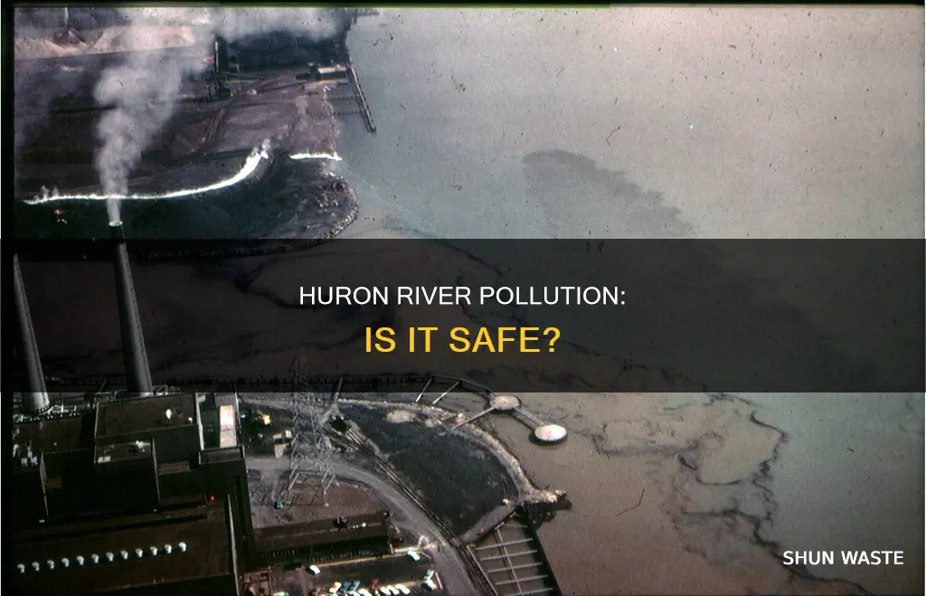 is the huron river polluted