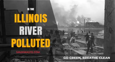 Illinois River Pollution: Is It Safe?