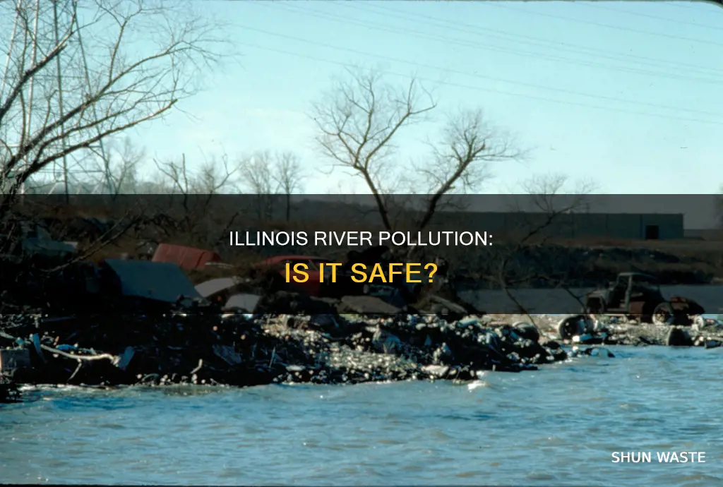 is the illinois river polluted