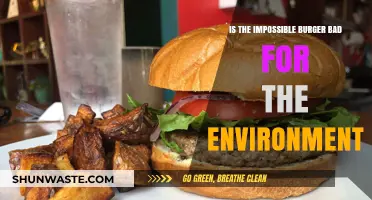 Is the Impossible Burger Eco-Friendly or an Environmental Concern?