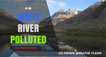 Indus River Pollution: A Critical Analysis