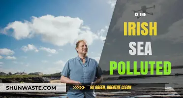Irish Sea Pollution: Is It a Concern?