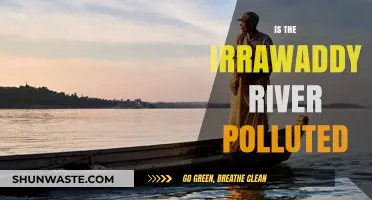 The Irrawaddy River: Polluted or Pristine?