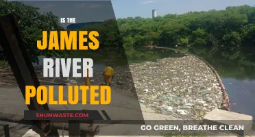 James River Pollution: Is It Safe?