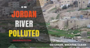 Jordan River Pollution: A Sacred Site's Plight
