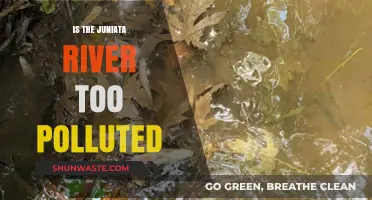 Juniata River: Polluted or Pristine?