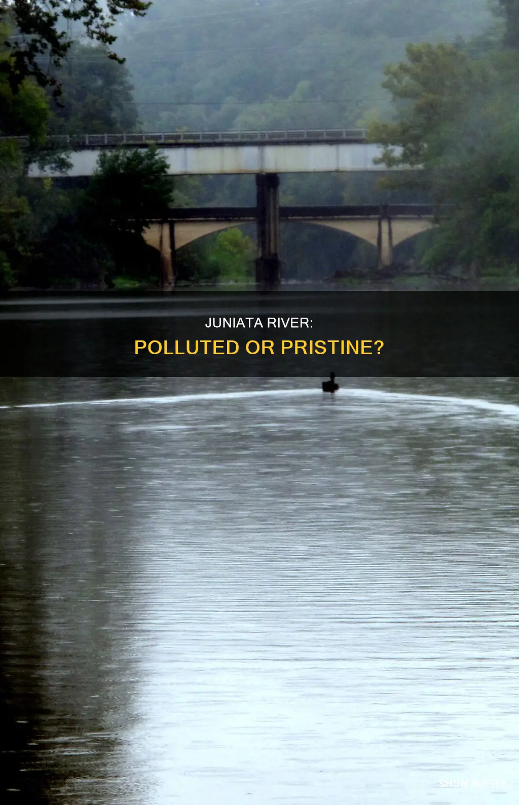 is the juniata river too polluted
