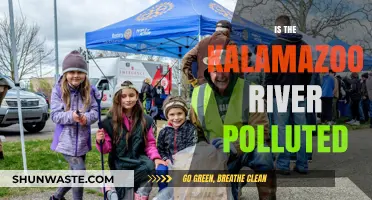 Kalamazoo River's Pollution: What's the Status?