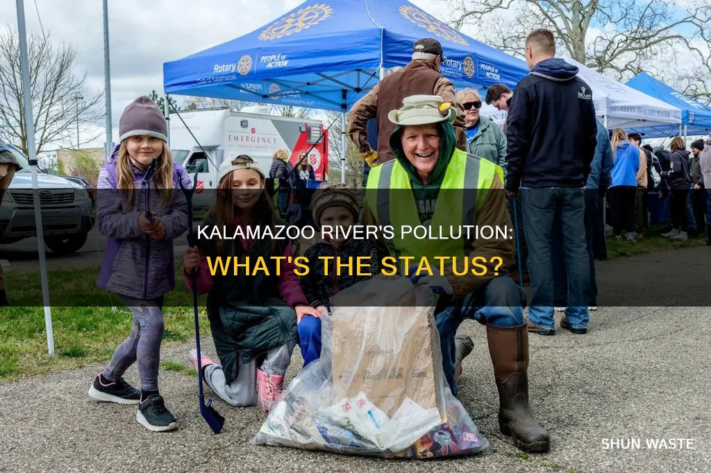 is the kalamazoo river polluted