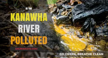 Kanawha River Pollution: Is It Safe?