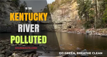 Kentucky River Pollution: Is It Safe?