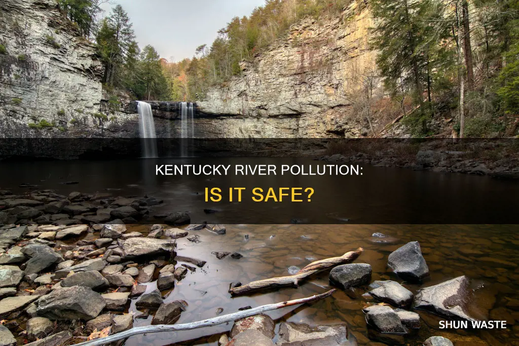 is the kentucky river polluted