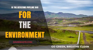 Keystone Pipeline: Environmental Impact and Ecological Concerns Explained