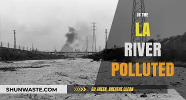 The LA River: A Polluted Waterway?