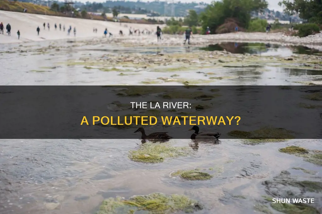 is the la river polluted