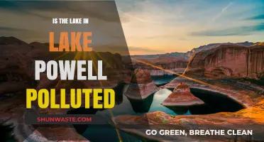Lake Powell: A Polluted Paradise?