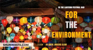 Lantern Festival's Environmental Impact: A Celebration or Ecological Concern?