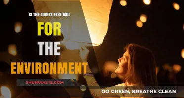 Is The Lights Fest Eco-Friendly? Environmental Impact Explained