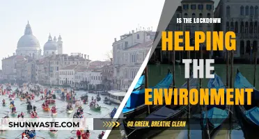 Lockdown's Green Impact: Unveiling Environmental Changes Amidst Global Pause