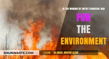 Environmental Impact of Artist Charcoal Production: Sustainable or Harmful?