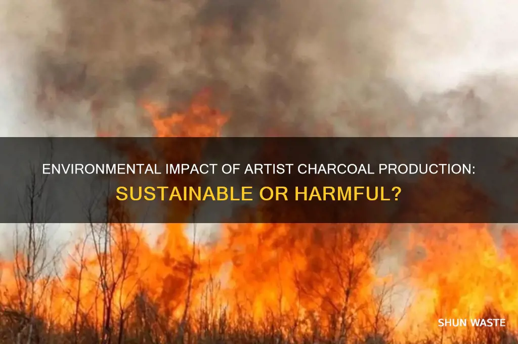 is the making of artist charcoal bad for the environment