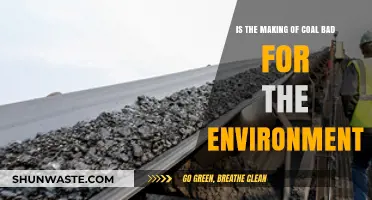 Coal Production's Environmental Impact: Uncovering the Hidden Costs