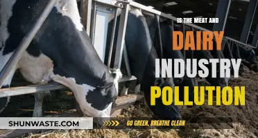 Meat and Dairy's Pollution: A Climate Crisis
