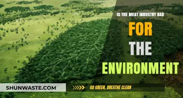 Meat Industry's Environmental Impact: Sustainable Solutions or Ecological Disaster?