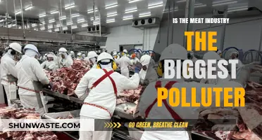 Meat Industry: The Silent Polluter?
