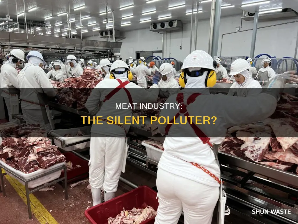 is the meat industry the biggest polluter