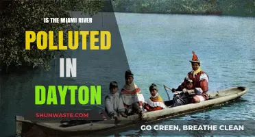 Miami River's Pollution Problem in Dayton: An Overview