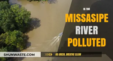 The Mississippi River: Polluted or Pristine?