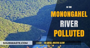 The Monongahela River: A Polluted Waterway?