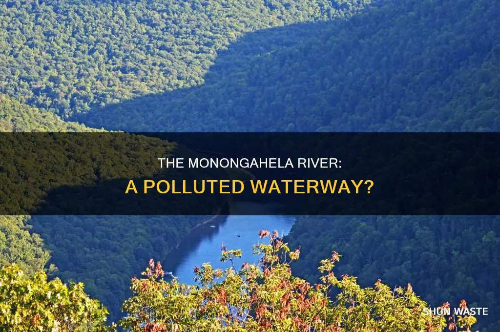 is the monongahela river polluted
